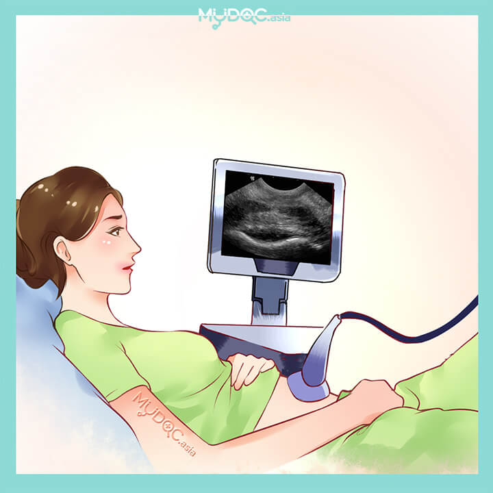 Best Pelvic Ultrasound In Penang Price Guide Reviews