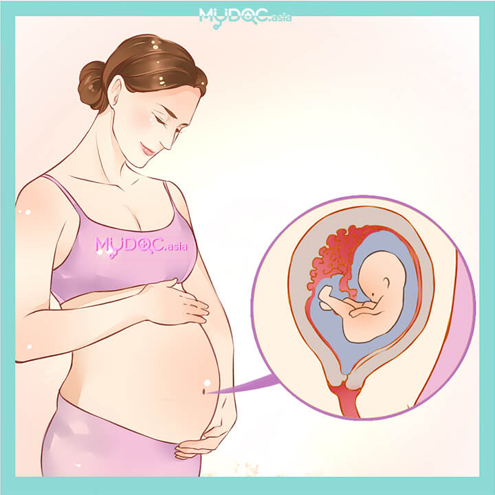 Pre Pregnancy Screening Singapore